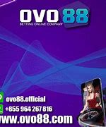 Situs Resmi Ovo88